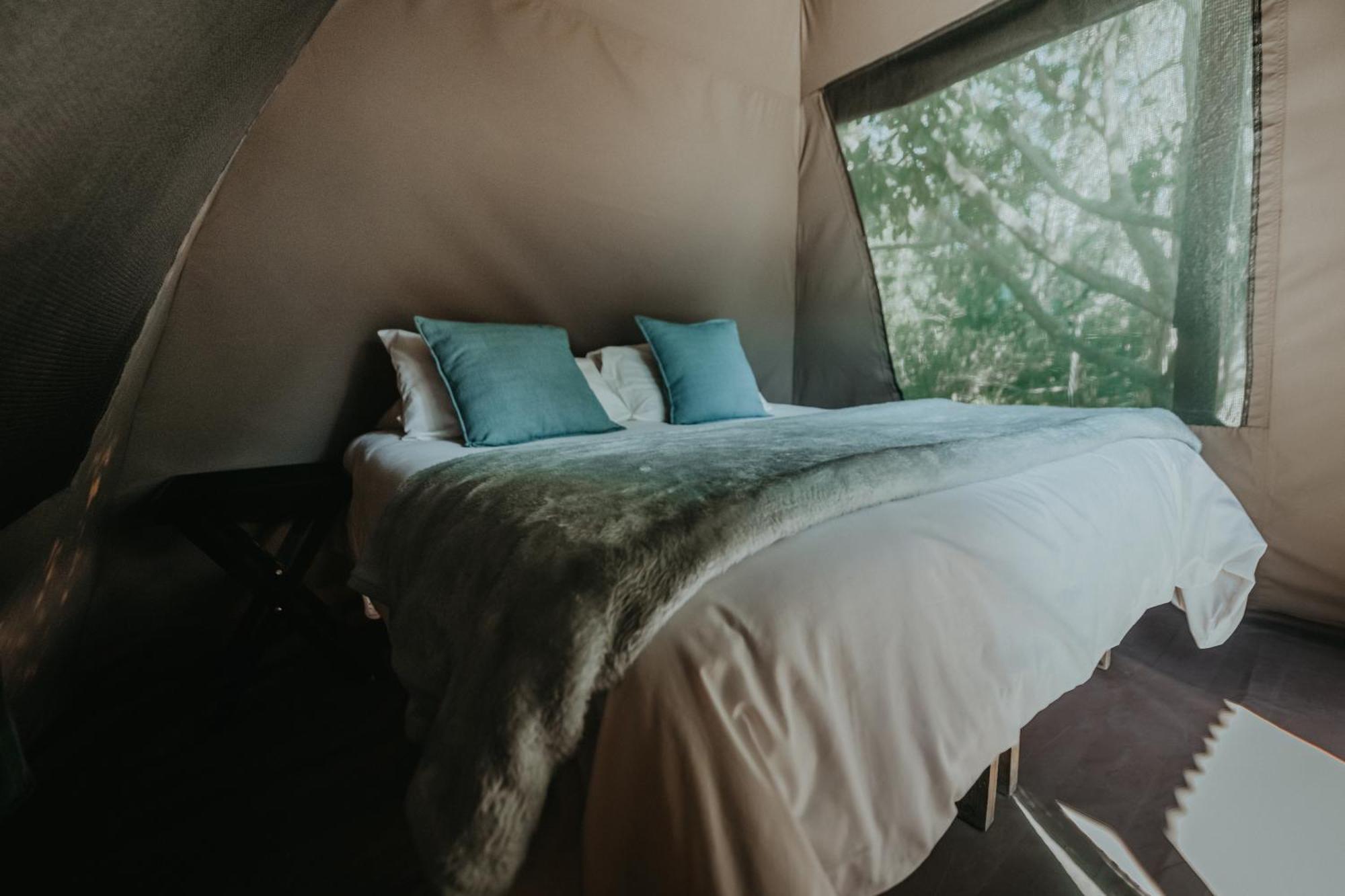 Storms River Forest Lodge ستورمزريفير المظهر الخارجي الصورة
