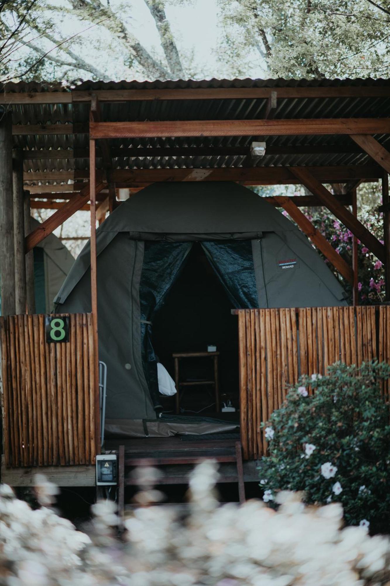 Storms River Forest Lodge ستورمزريفير المظهر الخارجي الصورة