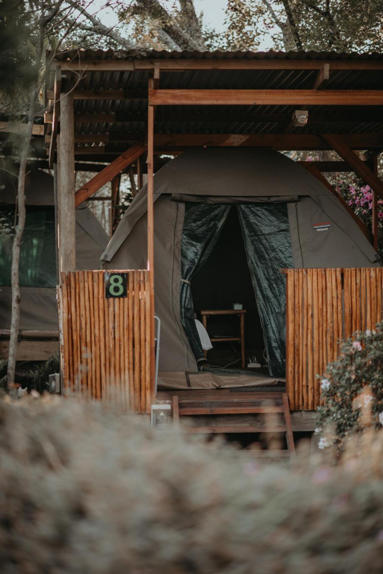 Storms River Forest Lodge ستورمزريفير المظهر الخارجي الصورة