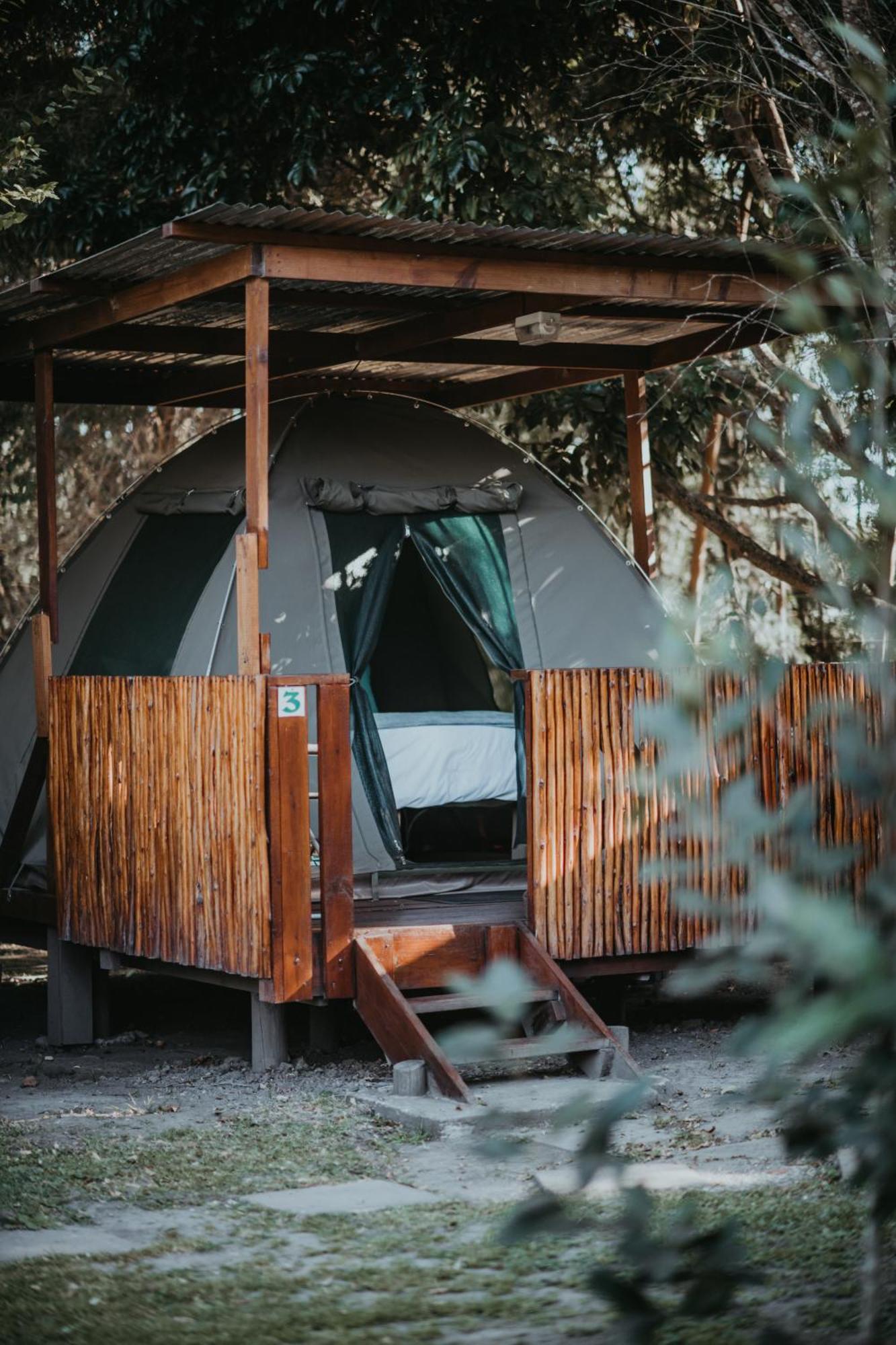 Storms River Forest Lodge ستورمزريفير المظهر الخارجي الصورة