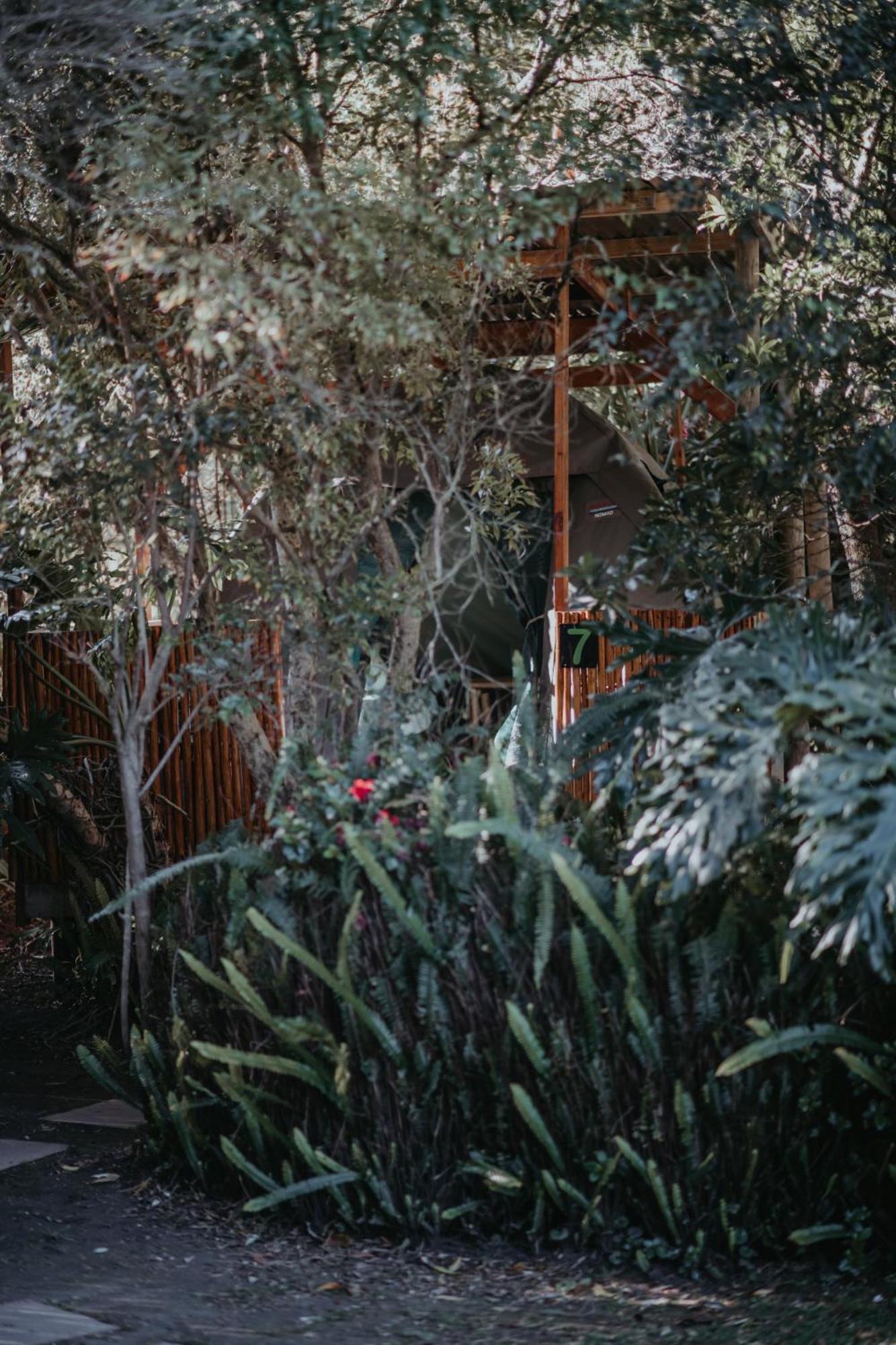Storms River Forest Lodge ستورمزريفير المظهر الخارجي الصورة