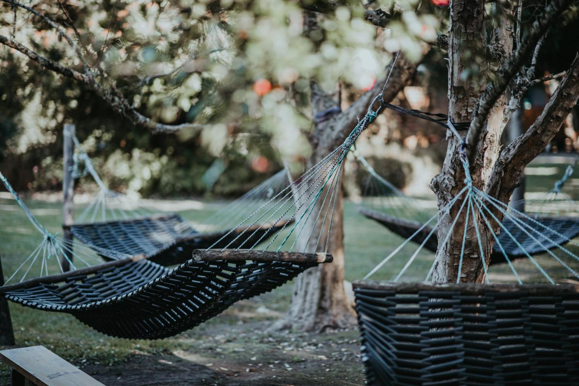 Storms River Forest Lodge ستورمزريفير المظهر الخارجي الصورة