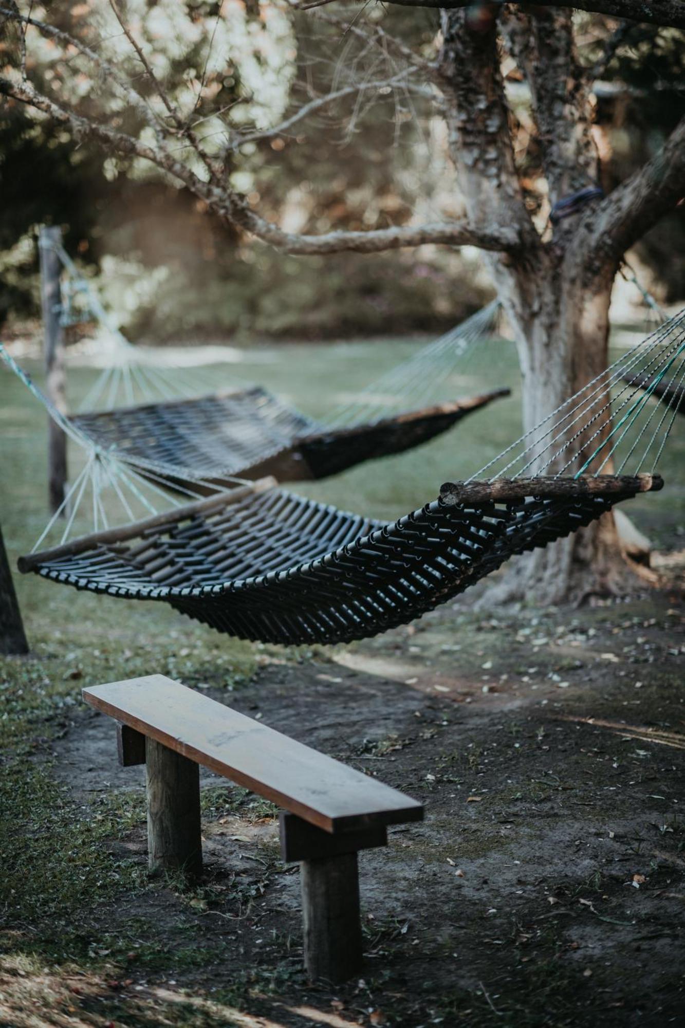 Storms River Forest Lodge ستورمزريفير المظهر الخارجي الصورة