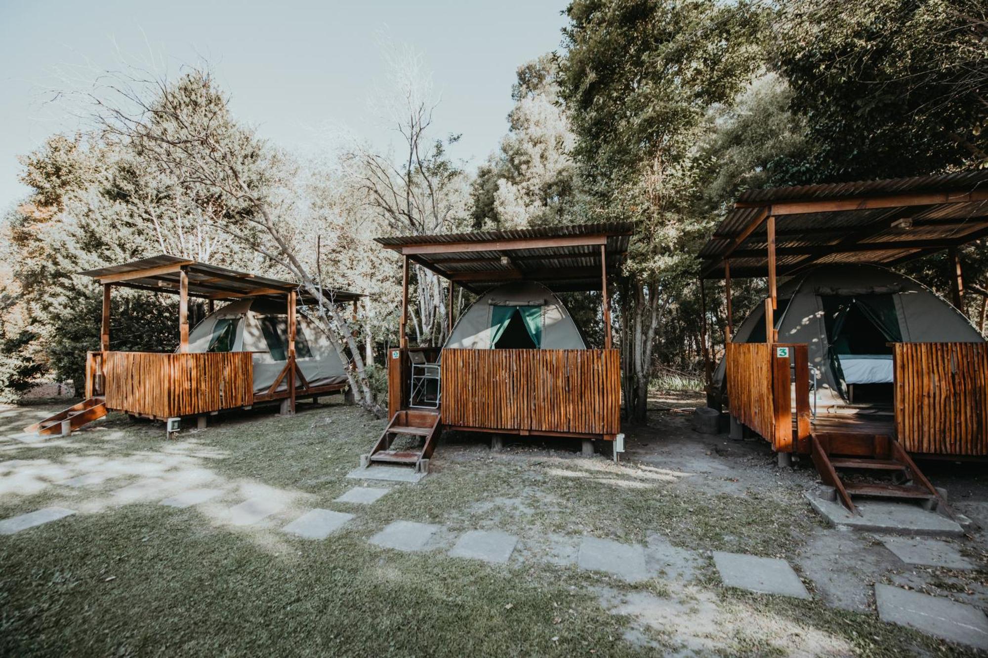 Storms River Forest Lodge ستورمزريفير المظهر الخارجي الصورة