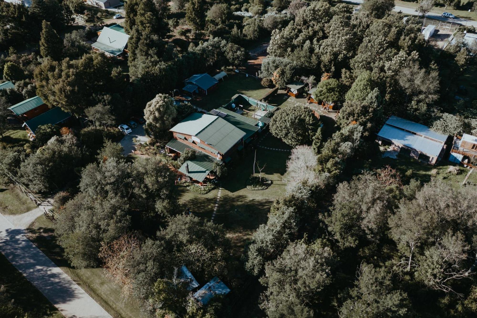 Storms River Forest Lodge ستورمزريفير المظهر الخارجي الصورة
