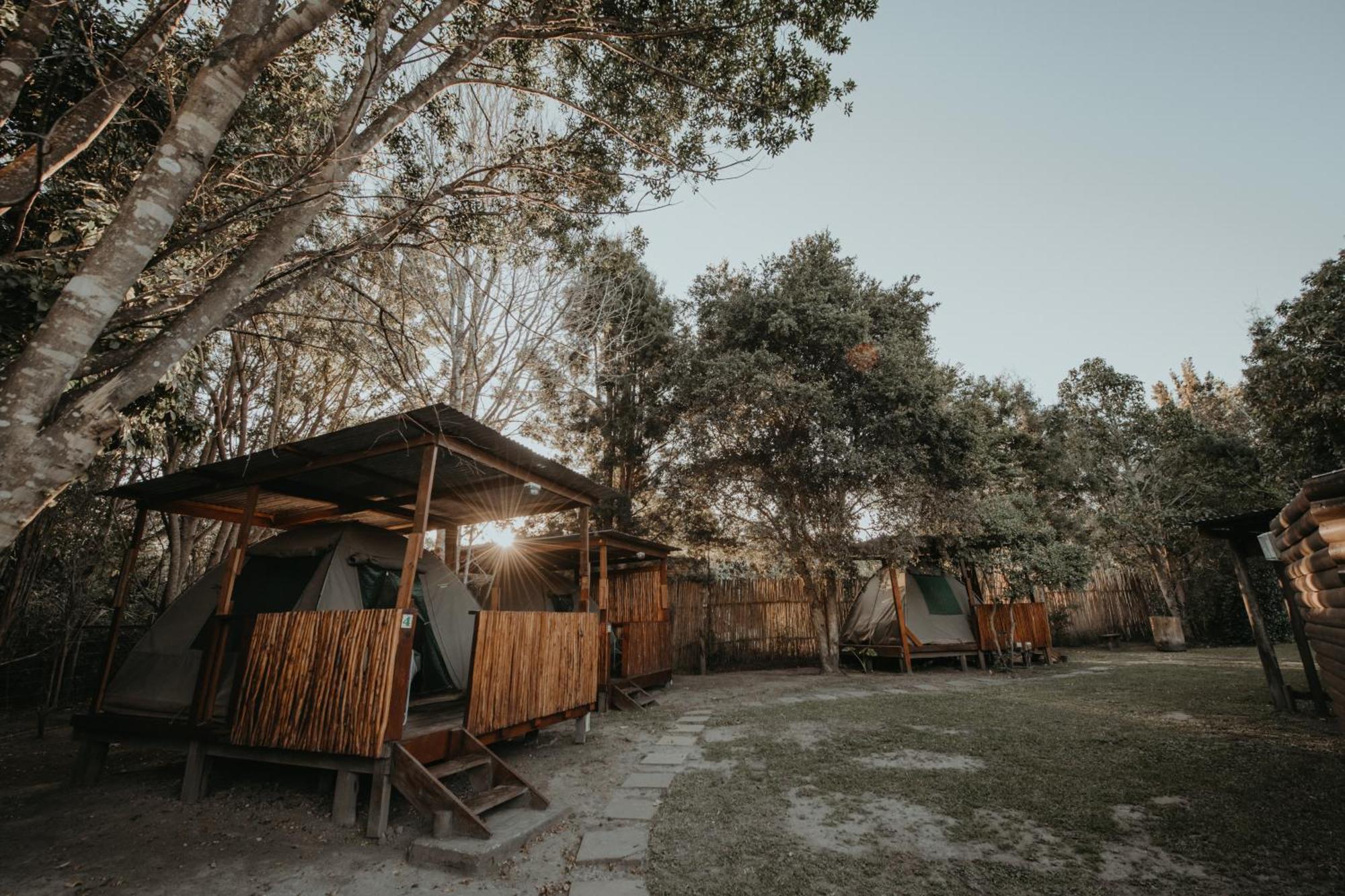 Storms River Forest Lodge ستورمزريفير المظهر الخارجي الصورة