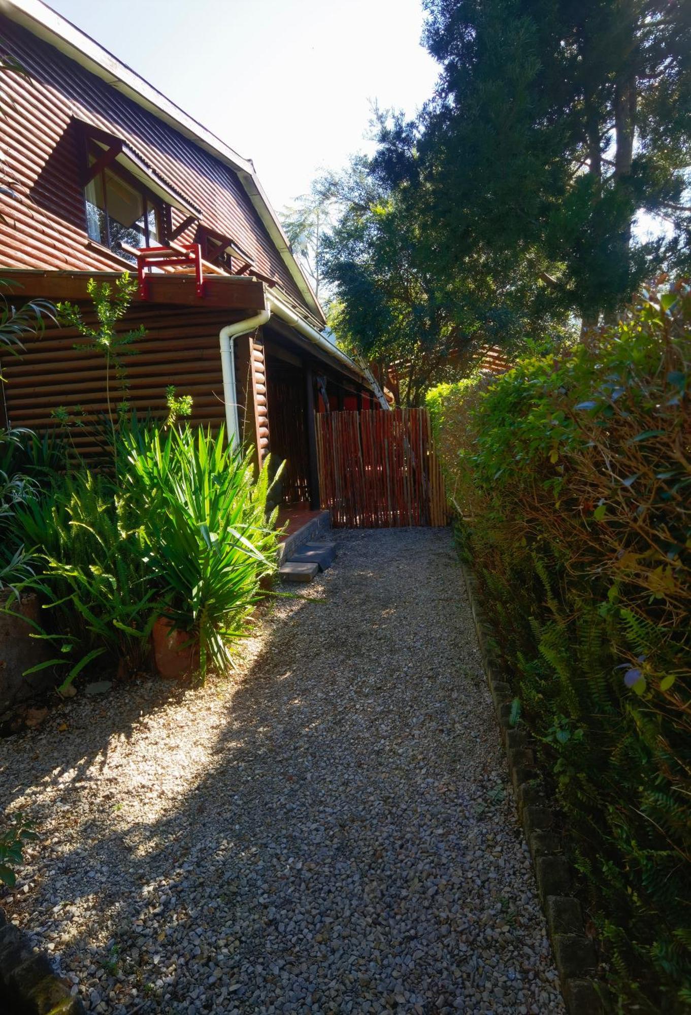 Storms River Forest Lodge ستورمزريفير المظهر الخارجي الصورة